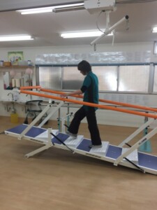 坂道訓練 坂道訓練