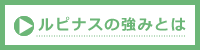 株式会社ルピナスの強み